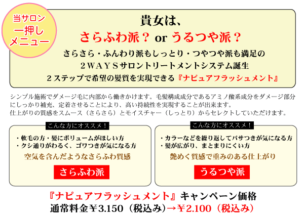 �i�s���A�t���b�V�������g